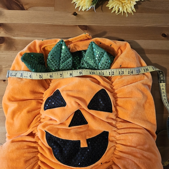 Thrills & Chills - Dog Pumpkin Halloween Costume - Size L - Picture 11 of 13